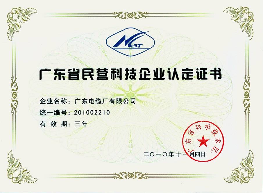 民營(yíng)科技企業(yè)