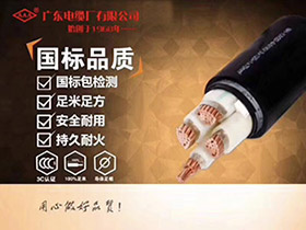 輻照交聯(lián)聚乙烯絕緣電力電纜系列YJV，YJV22，YJ(F)E，YJ(F)E22，F(xiàn)YJV，F(xiàn)YJV22