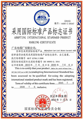 采用國(guó)際標(biāo)準(zhǔn)產(chǎn)品標(biāo)志證書(6-30kV)