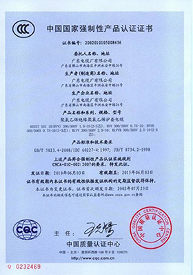 中國(guó)國(guó)家強(qiáng)制性產(chǎn)品認(rèn)證證書(shū)2